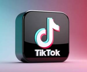 TikTok publicó recientemente su lista de los 100 videos, creadores y tendencias en Estados Unidos durante el 2020.
