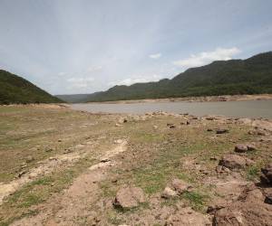 Los datos municipales reflejan que las lluvias siguen por debajo del promedio histórico, una condición que dificulta aliviar la crisis de agua en el Distrito Central.