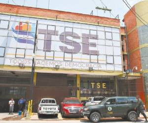 El TSE tendrá que acatar la inaplicabilidad de la disposición de la normativa.