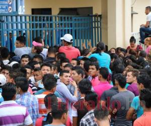 La productividad laboral fue de 2.39% en 2019, sin embargo, se evidencia una baja en los rendimientos respecto a factores productivos. Foto: EL HERALDO.