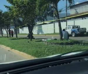 El cuerpo del motociclista quedó sobre la mediana cerca del árbol contra el que chocó.