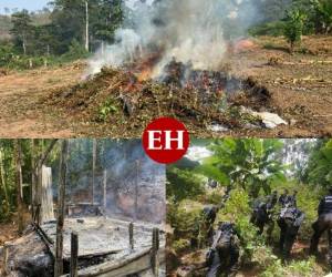 La incineración de la droga se llevó a cabo este domingo en Iriona, Colón. Fotos: Cortesía.
