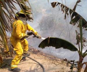 Para prevenir incendios forestales, el personal se mantiene alerta y no se confía de las rondas cortafuegos.