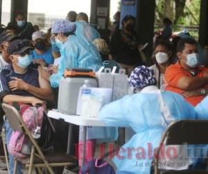 En centros de vacunación se continuó el jueves aplicando segundas dosis. FOTO: Efraín Salgado/El Heraldo