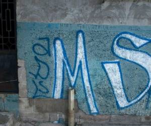 La operación “Golpe al crimen continua”, publicó en su cuenta oficial de Twitter la Fiscalía General de El Salvador, al informar que la Unidad Antipandillas del ministerio Público, apoyada por cientos de policías, detuvo el jueves a 105 miembros de la Mara. Foto: AP