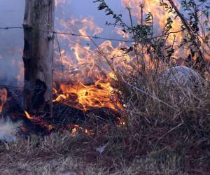 Los incendios han dejado una afectación en 53 mil hectáreas.