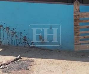 La escena encontrada en la Finca Paso Aguán, en la comunidad de Rigores, Trujillo, refleja este jueves la violencia con la que fue ejecutado el ataque que dejó más de una decena de personas fallecidas durante la madrugada. Aquí la terrible escena.