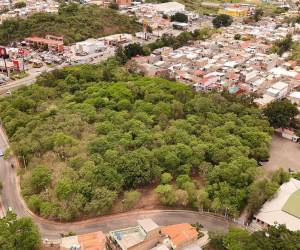 La AMDC continúa recuperando áreas verdes y espacios públicos para brindar a las familias capitalinas entornos más limpios, seguros y adecuados para la convivencia.