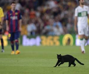 ¿El gato negro le dio suerte al Barcelona? / AFP