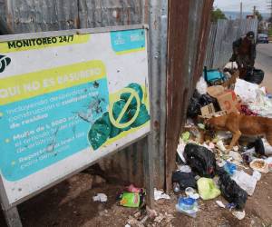 Entre los sectores más afectados mencionó la colonia El Hato, Residencial Plaza, Centroamérica Oeste y la colonia Kennedy.