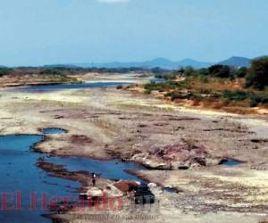 El bajo nivel del caudal del río Choluteca ha provocado que los pobladores sufran serios racionamientos. Fotos: EL HERALDO