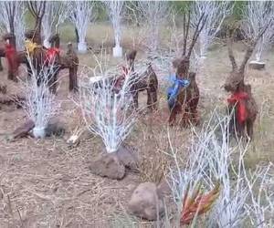 Los arbolitos y venados se aprecian en varias calles de la capital.