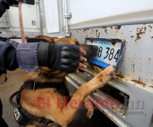 Un mayor número de retenes policiales y militares se han instalado en las carreteras del sur de Honduras, incluso se realiza operaciones en conjunto con agencias de EUA.