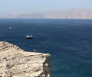 El shock ha provocado un aumento de los precios del petróleo, el gas y los fertilizantes, lo que también ha generado preocupaciones sobre la seguridad alimentaria y la pérdida de empleos.