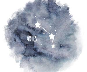 ARIES (21 de marzo - 20 de abril). Las finanzas son tu talón de Aquiles y puede ser un auténtico problema si no tomas las medidas adecuadas. Olvídate de gastar y ahorra hasta la última moneda, en el futuro la necesitarás. El amor te funciona siempre igual de bien; sigue así.