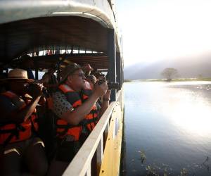 Aves Honduras administra una red de 18 santuarios privados distribuidos en distintas regiones del país, habilitados con senderos, torres de observación, hides fotográficos y guías especializados.