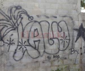 Algunas paredes se han comenzado a manchar con placazos. Fotos: David Romero/EL HERALDO