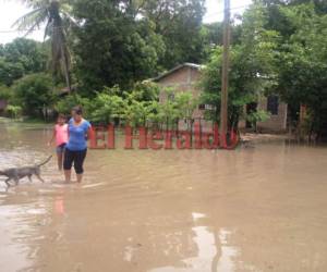 Así se encuentra esta zona afectada en el sur de Honduras. (Foto: Marlin Herrera / EL HERALDO)