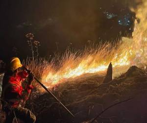 Autoridades del Cuerpo de Bomberos piden denunciar conatos e incendios forestales al sistema 911.