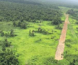 La inhabilitación fue realizada por agentes de la Fuerza de Seguridad Interinstitucional Nacional.