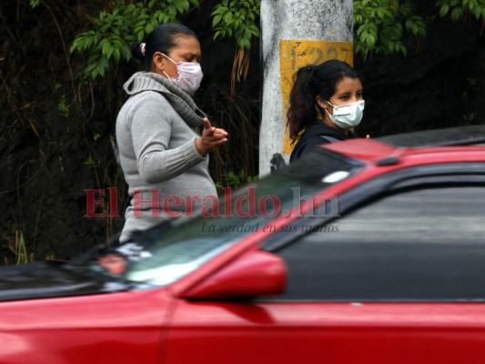 La señora Nancy Castro tiene que salir a pedir para comer. Foto: Johny Magallanes/EL HERALDO.