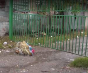 Los vecinos de la zona no saben de quién se trata, tampoco si residía en la zona.