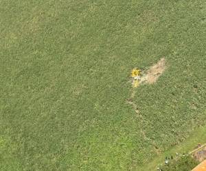 Una avioneta utilizada para labores de fumigación se estrelló la mañana de este domingo en campos bananeros de la aldea Cruz de Valencia, en el municipio de La Lima, departamento de Cortés, al norte de Honduras, dejando como saldo la muerte del piloto que la conducía.