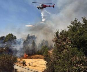 Los bomberos llegaron al lugar en cuestión de minutos y la consternada pareja les explicó lo ocurrido y les proporcionó sus propias fotografías y video para ayudar en la investigación. Foto: AP