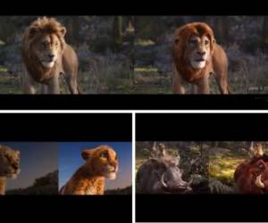 Los animales de la popular cinta 'El rey león' fueron retratados con la nueva tecnología deep face, y aquí te mostramos como serían sus rostros. Fotos: Captura video.