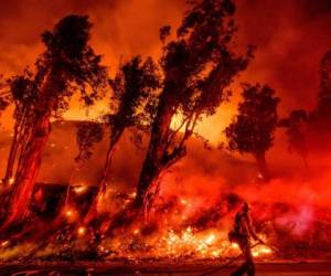 Más de 11,000 personas evacuaron el 31 de octubre, cuando soplaron vientos secos que atizaron incendios en todo el estado. Foto: AP.