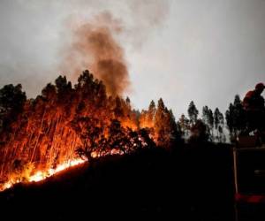 Incendio forestal en Portugal deja 62 muertos, según un nuevo balance oficial.