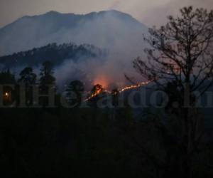 Las altas temperaturas han contribuido a que se desaten estos perjudiciales incendios (Foto: Emilio Flores/ El Heraldo Honduras/ Noticias de Honduras)