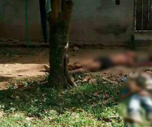 Los dos primos quedaron tirados frente a su casa, separados uno del otro. Fueron ultimados a disparos y con arma blanca.