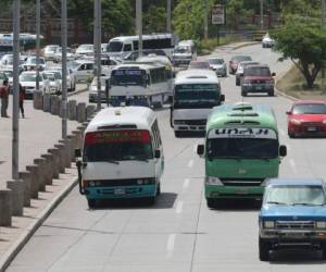 El Comisionado Nacional de Derechos Humanos (Conadeh) informó que al menos 20 personas murieron en ataques perpetrados por delincuentes a taxis y unidades de buses durante el mes de julio en cinco ciudades del país. Foto: El Heraldo Honduras.