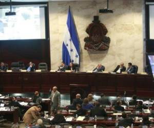 Bajo un amplio debate, los diputados del Congreso Nacional continuaron el miércoles con la aprobación de varios artículos.