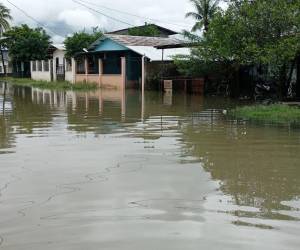 Así amaneció la colonia Policarpo de El Progreso, Yoro, anegada por las filtraciones del Ulúa.