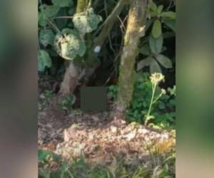 Como Adonis Madrid y José Lenin Rodríguez fueron identificados los dos jovencitos ejecutados en San José de Colinas, en el departamento de Santa Bárbara.