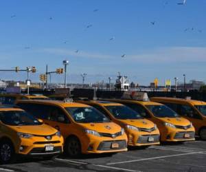 Los taxis amarillos se han tornado raros. Aunque aún hay 13,000 medallones atribuidos, solo 5,000 taxis circulan actualmente, según el sindicato. Foto: AFP