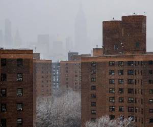El correo decía que NYCHA, que administra el dinero para los beneficiarios en Nueva York, ya no podría seguir aportando al pago de su alquiler.