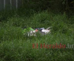 En la zona también fueron encontradas varias bolsas de color negro y sobre una de ellas pegada una fotografía de una persona joven.