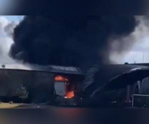 Al menos seis personas murieron tras la caída de una avioneta en el centro de México.