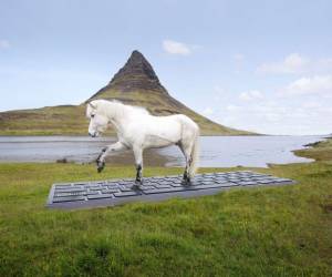 Los pequeños caballos islandeses famosos por su pelaje, muchas veces confundidos con ponis por su tamaño, son una de las insignias del país.