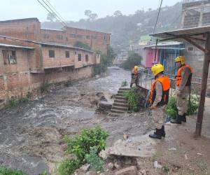 El aumento de los caudales de quebradas, derrumbes y caída de árboles obligó a los cuerpos de socorro a desplegar operativos en varios sectores de la capital.
