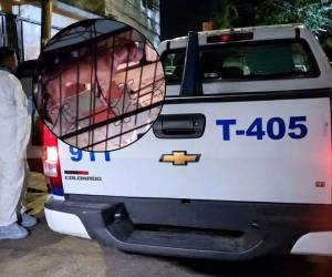 Perro pitbull mata a su dueño en colonia Hato de Enmedio de Tegucigalpa