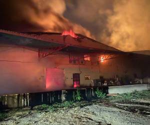 Toda la materia prima que estaba dentro quedó consumida a cenizas.