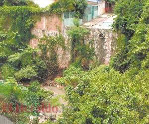 A la par de esta quebrada y maleza están las oficinas del RNP. Foto: EL HERALDO