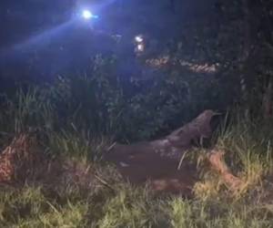 El cadáver del hombre estaba en medio de unos matorrales, cerca de unas cañeras en San Antonio.