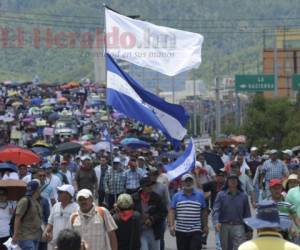 La Plataforma para la Defensa de la Salud y Educación se ha mantenido en protestas durante cuatro semanas consecutivas. Foto: Archivo EL HERALDO.