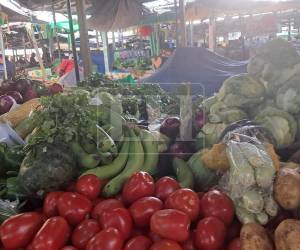 Las verduras, mariscos y frutas experimentaron una variación de precios en la Feria del Agricultor y el Artesano, ubicada frente al Estadio Chelato Uclés de la capital. Así están este fin de semana los precios de la canasta básica.