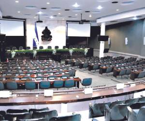 A pesar de la extendida e inédita crisis que afronta el CN, los 256 diputados han seguido recibiendo sueldos y viáticos, y en algunos casos hasta bonos y subvenciones.